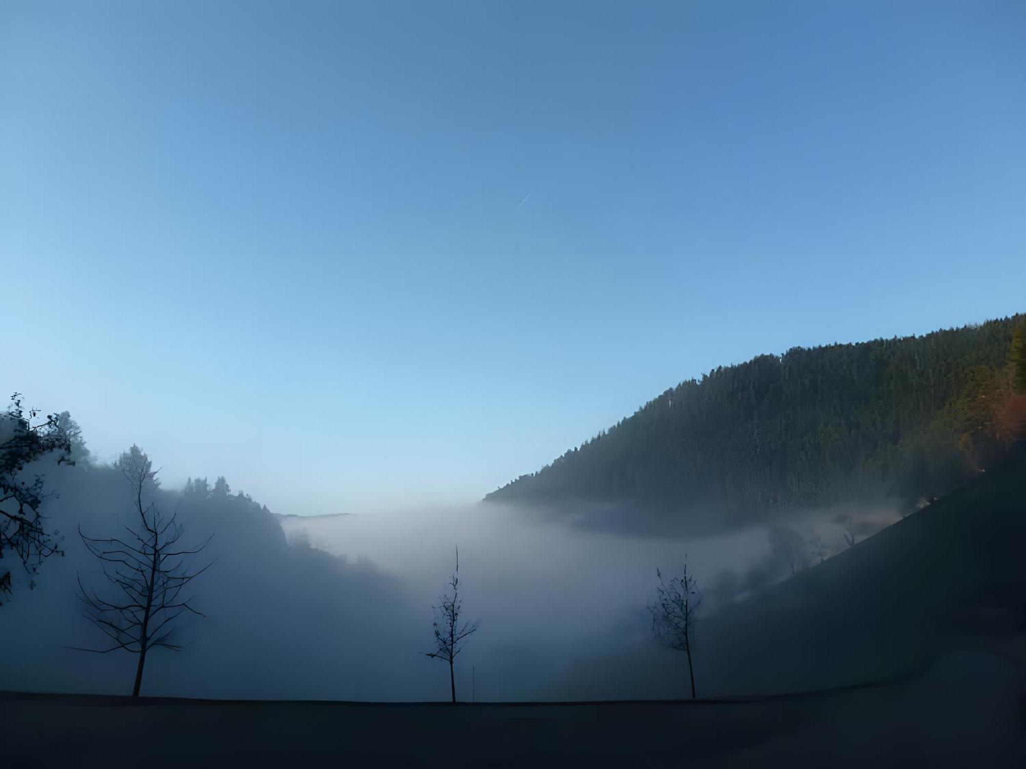 Holderstanzenhof Διαμέρισμα Bad Peterstal-Griesbach Εξωτερικό φωτογραφία