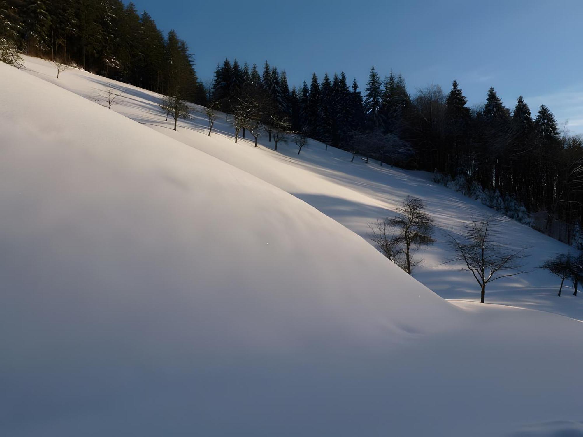 Holderstanzenhof Διαμέρισμα Bad Peterstal-Griesbach Εξωτερικό φωτογραφία