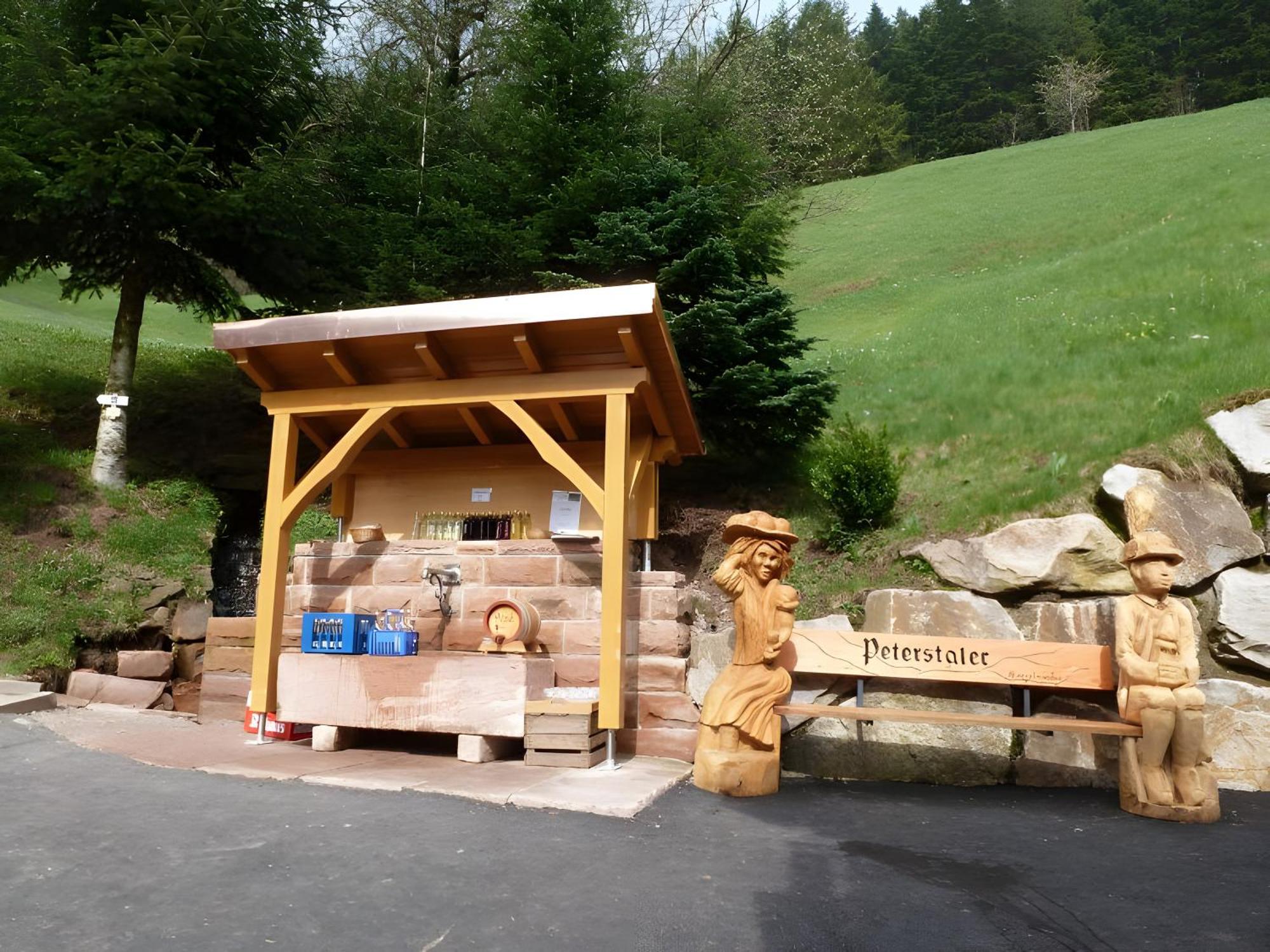 Holderstanzenhof Διαμέρισμα Bad Peterstal-Griesbach Εξωτερικό φωτογραφία