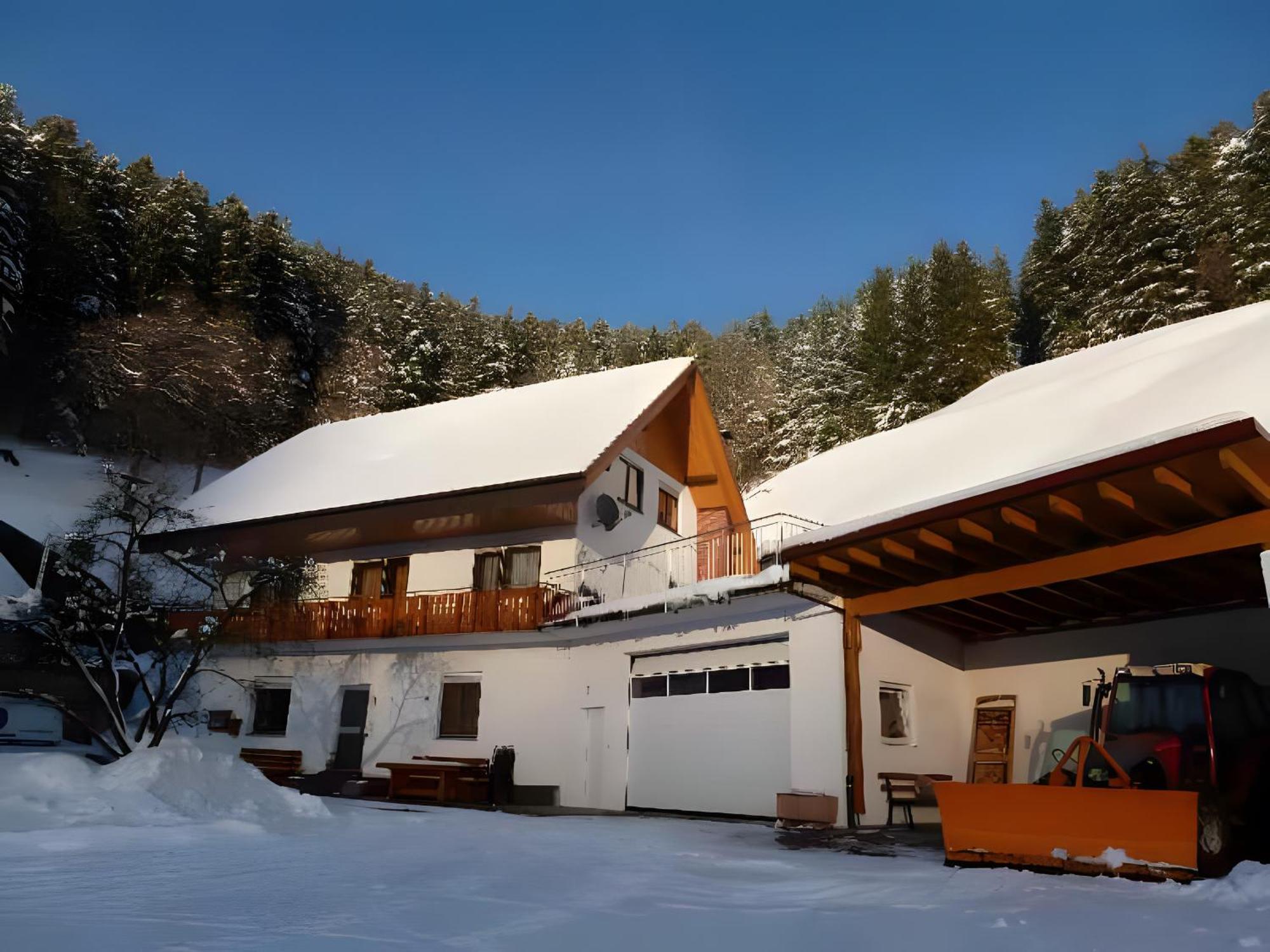 Holderstanzenhof Διαμέρισμα Bad Peterstal-Griesbach Εξωτερικό φωτογραφία