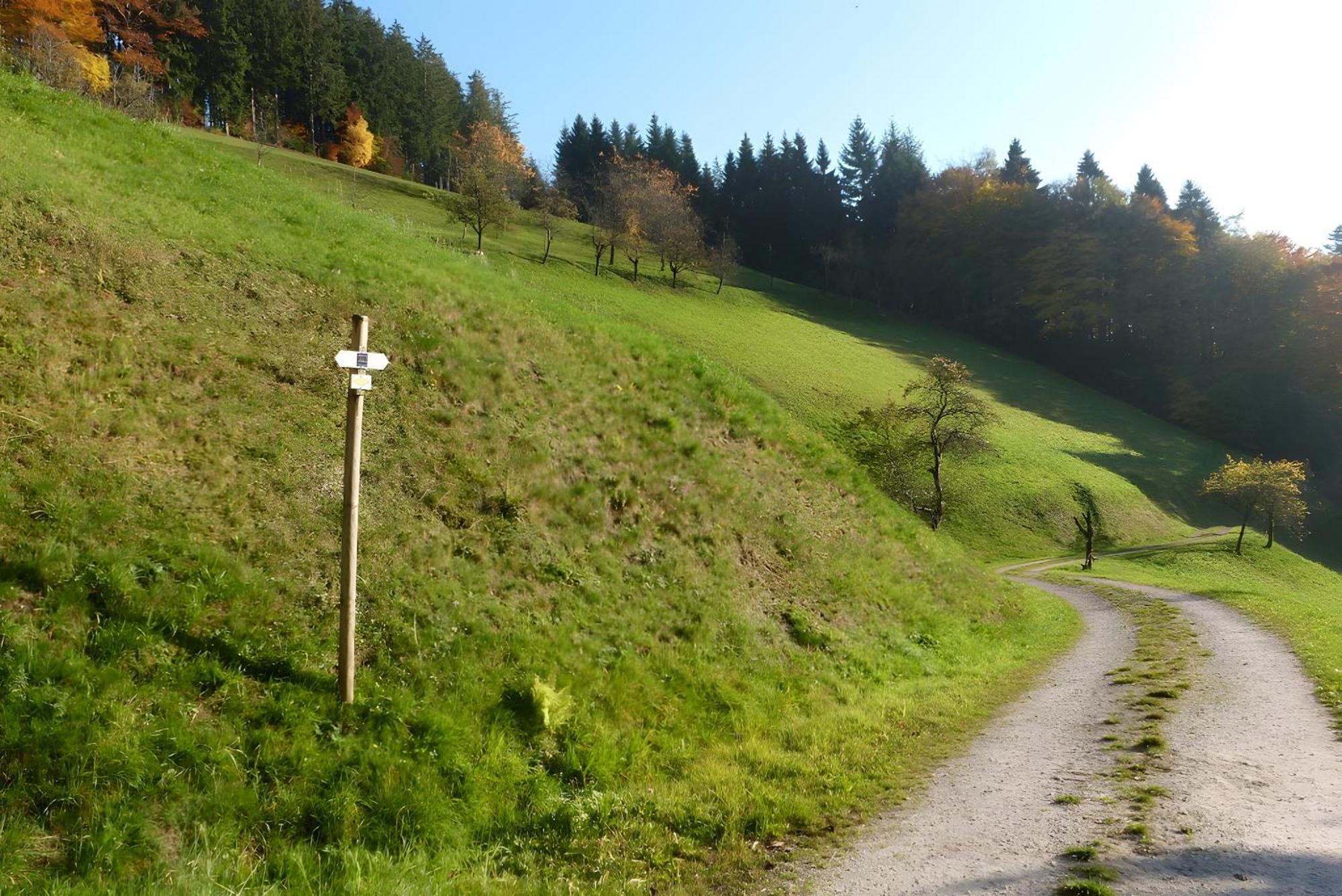 Holderstanzenhof Διαμέρισμα Bad Peterstal-Griesbach Εξωτερικό φωτογραφία