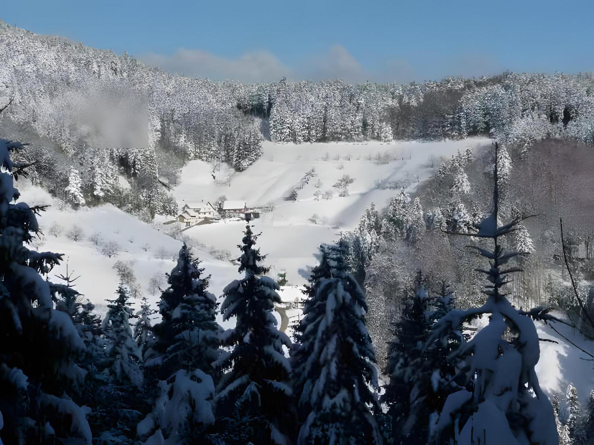 Holderstanzenhof Διαμέρισμα Bad Peterstal-Griesbach Εξωτερικό φωτογραφία